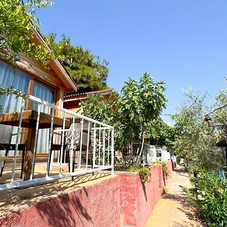 Gaia Bungalow Acomodação com café da manhã Ayvalı Exterior foto